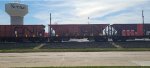 CN 302***